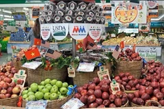 En 2024, la pomme s’est imposée comme le fruit le plus importé au Vietnam, avec un chiffre d’affaires de 275,3 millions de dollars, soit une augmentation de 18 % par rapport à 2023. Les importations de pommes américaines, quant à elles, ont bondi de 58,3 %. Photo: NDEL