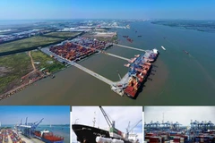 Le Vietnam dispose d’un fort potentiel dans le transport maritime. Photo: VNA