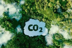 Le marché du carbone trouve son origine dans le Protocole de Kyoto des Nations unies sur le changement climatique (1997). Selon celui-ci, les pays ayant un excédent de droits d’émission peuvent les vendre à d’autres pays qui émettent plus ou moins que leur objectif de réduction. Photo: CTV/CVN