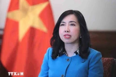 La vice-ministre des Affaires étrangères, Lê Thi Thu Hang. Photo : VNA