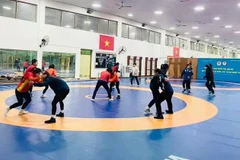 Les jeunes athlètes du pays hôte s’entraînent pour les Championnats d’Asie de lutte U17 et U23. Photo : thethao.sggp.org.vn