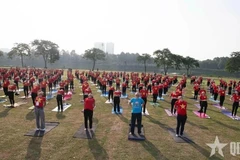 Plus de 1.000 pratiquants de yoga participent à une performance spéciale lors de l'événement. Photo : PANO
