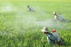 Le contrôle de l'utilisation des produits phytosanitaires contribue à garantir la santé des personnes et des animaux ainsi que la protection de l'environnement. Photo: chinhphu.vn