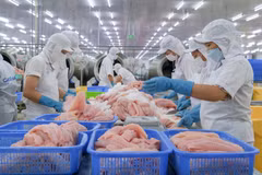 Transformation du pangasius pour l'exportation à la compagnie par actions Caseamex, dans le parc industriel de Trà Noc, à Cân Tho. Photo: VNA