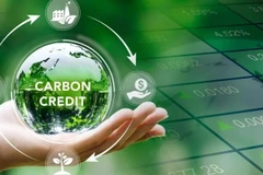 Le Vietnam va exploiter son marché de crédits carbone à titre expérimental sans aucune vente à l'étranger ainsi que la réglementation sur les échanges de crédits avec les marchés régional et mondial. Photo: vneconomy.vn