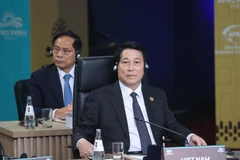 Le président Luong Cuong. Photo : VNA