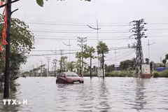Une voiture, immergée et immobilisée, gît au milieu de la rue Cao Hà, dans le quartier de Hà Lâm, province de Quang Ninh. Photo: VNA