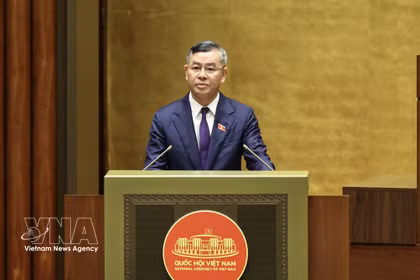 Le ministre des Finances, Ngo Van Tuan, s'exprime lors de la réunion. Photo: VNA