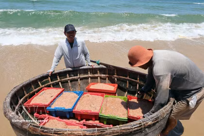Da Nang : au rythme des vagues, le dur mais fier quotidien des pêcheurs