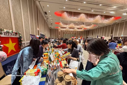 Les produits vietnamiens suscitent l'intérêt des visiteurs internationaux et du public japonais. Photo: VNA