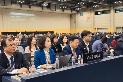 Le vice-ministre des Affaires étrangères et président de la Commission nationale vietnamienne pour l’UNESCO, Ngo Le Van, s'exprime à la réunion. Photo: VNA