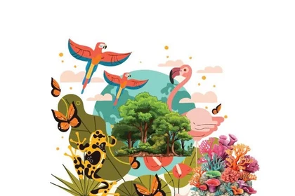 11 réserves de biosphère du Vietnam reconnues par l’UNESCO