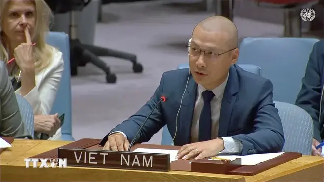 Le ministre-conseiller Nguyen Hoang Nguyen, chef adjoint de la Mission permanente du Vietnam auprès de l'ONU. Photo: VNA bao-ve-tre-em2-1184.jpeg