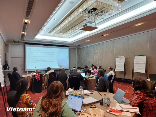 Des journalistes de plusieurs pays en développement ont participé à un atelier sur la prévention de la noyade tenu les 9 et 10 septembre en Thaïlande. Photo: VietnamPlus kuki.jpg