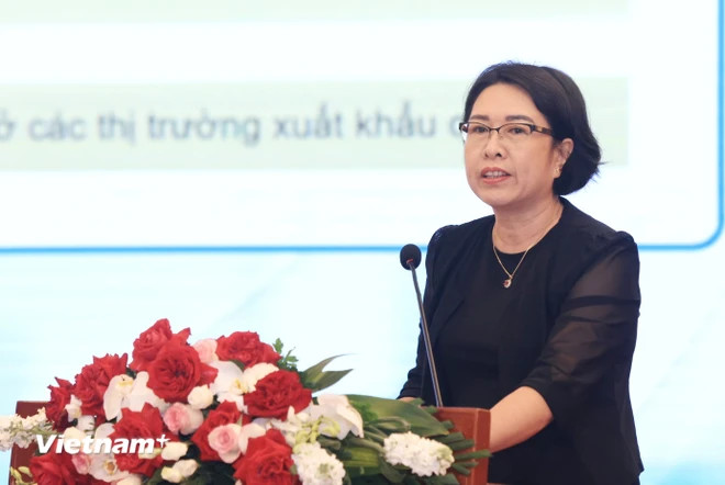 Tran Thi Hong Minh, directrice de l'Institut central de gestion économique (CIEM). Photo: Vienam+ haha.jpg