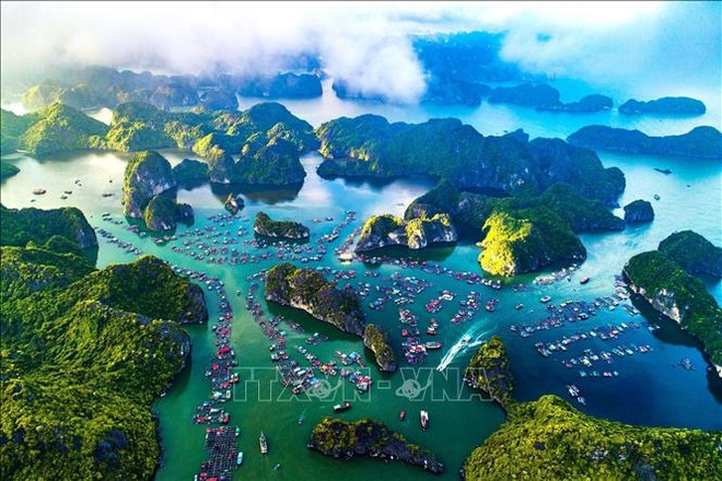 La baie d'Ha Long, a été classée en 1994 par l'UNESCO parmi les patrimoines mondiaux. Photo: VNA vinh-ha-long-quan-dao-cat-ba-29121.jpg