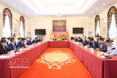 Des délégués participent au Programme de coopération et d’échanges sur l’industrie verte Vietnam-Chine. Photo: VNA