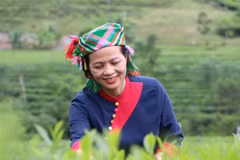 L'artisane Nguyen Thi Hai, présidente du conseil d'administration de la coopérative de thé La Bang, dans la commune de La Bang, province de Thai Nguyen, a reçu le Prix des femmes du Vietnam 2025. Photo : VNA