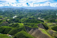 Thanh Hoa développe les forêts selon les normes du Conseil de la bonne gestion forestière