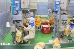 Le Vietnam conserve sa troisième place parmi les fournisseurs de riz à Singapour. Photo: VNA