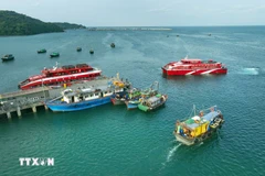 Quang Ninh enregistrée et met à jour la totalité de ses 4 116 navires de pêche de 6 mètres et plus sur la base de données nationale Vnfishbase. Photo: VNA