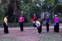 Le "đánh cù", fleuron des jeux traditionnels de l'ethnie Muong à Phu Tho
