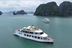 Tous les bateaux touristiques de la baie d'Ha Long, dans la province de Quang Ninh, devront être équipés d'un système d'identification automatique. Photo: VNA