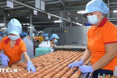 Les entreprises vietnamiennes se trouvent face à une opportunité historique de s'affirmer sur la scène mondiale. Photo: VNA