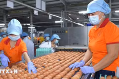 Les entreprises vietnamiennes se trouvent face à une opportunité historique de s'affirmer sur la scène mondiale. Photo: VNA