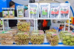 Des raisins, pommes et produits à base d'algues conformes aux normes OCOP sont présentés lors de la Foire d'automne 2025. Photo : VNA