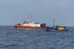 Les forces compétentes font des patrouilles en mer. Photo : VNA
