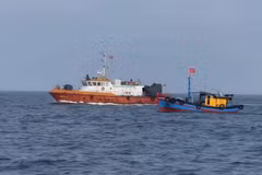 Les forces compétentes font des patrouilles en mer. Photo : VNA