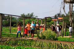 Entouré par la rivière Co Co et la lagune de Tra Que, ce terroir fertile a donné naissance à une agriculture biologique réputée, façonnant l’identité d’un village vieux de plus de 400 ans. Photo: VNA