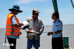 Des agents compétents contrôle un bateau de pêche. Photo : VNA