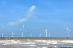 La province de Vinh Long met en service 13 parcs éoliens d'une capacité totale de 572 MW. Photo : VNA