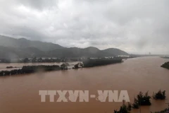 Les pluies diluviennes et inondations dans le Centre du Vietnam causent des dégâts considérables, affectant plus de 4 870 hectares de rizières et de cultures. Photo: VNA