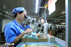 Le Japon est actuellement le principal partenaire économique du Vietnam et son plus important donateur d'aide publique au développement. Photo : Tuan Anh/VNA