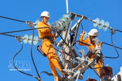 Inspection et réparation des lignes électriques pour garantir un approvisionnement en électricité sûr et continu dans les provinces du Centre. Photo : VNA