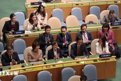 Le Vietnam est réélu au Conseil des droits de l’homme de l’ONU pour le mandat 2026–2028. Photo: VNA