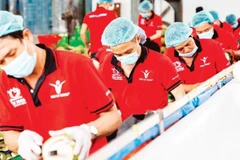 Transformation de noix de coco destinées à l'exportation chez Vina T&T Group. Photo : nhandan.vn