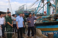Des responsables de la province de Dak Lak inspectent les travaux de prévention et de lutte contre la pêche INN au port de pêche de Phu Lac. Photo : VNA