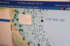 Surveillance des activités des navires de pêche grâce au système de surveillance des navires. Photo : VNA