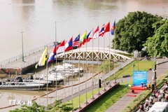 Les drapeaux nationaux des pays membres de l'ASEAN au parc Bach Dang, à Hô Chi Minh-Ville. Photo: VNA