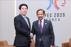 Le président vietnamien Luong Cuong (gauche) rencontre le Sultan de Brunei, Haji Hassanal Bolkiah, en marge de la Semaine des dirigeants économiques de l’APEC 2025 organisée à Gyeongju, en République de Corée, le 31 octobre 2025. Photo: VNA