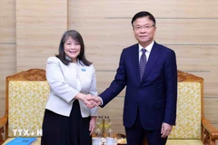 Le vice-Premier ministre Le Thanh Long reçoit Mme June Kunugi, directrice régionale de l'UNICEF pour l'Asie de l'Est et le Pacifique, le 26 novembre, à Hanoï. Photo: VNA