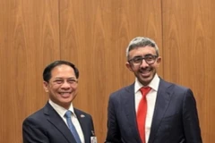 Le vice-Premier ministre Bui Thanh Son (gauche) rencontre le vice-Premier ministre et ministre des Affaires étrangères des Émirats arabes unis (EAU), Sheikh Abdullah bin Zayed Al Nahyan. Photo: VNA