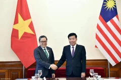 Le vice-ministre vietnamien des Affaires étrangères, Nguyên Manh Cuong (droite), et le secrétaire général adjoint du ministère malaisien des Affaires étrangères, Dato' Ahmad Rozian Abd Ghani. Photo: VNA