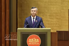 Le ministre des Finances, Ngo Van Tuan, s'exprime lors de la réunion. Photo: VNA