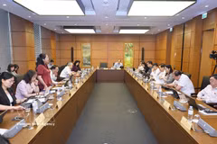 Des députés de l'Assemblée nationale des provinces de Bac Ninh et de Ca Mau tiennent des discussions de groupe. Photo : VNA
