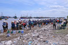 Le marché aux poissons le plus animé de Ninh Binh